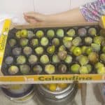 AF1QipM5Ujmob431PhmH8invj2cRd cZkzsDgYN6xiAUw408 h725 k no