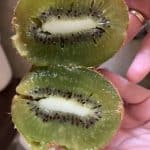 AF1QipN1DWwAdwPN U ttNND5ftIFys7TlHDAF6rpqXyw408 h544 k no