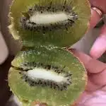 AF1QipN1DWwAdwPN U ttNND5ftIFys7TlHDAF6rpqXyw408 h544 k no