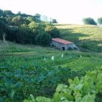 AF1QipNGXCsINulhix7LeasBAsrHyDAGwpHUjwUrYZXMw408 h306 k no