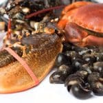 AF1QipNTJjcE8tztzDJt8d28GVnjt6 FVvKtvc8 SFtGw559 h240 k no