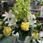 AF1QipNW w7wgnVk7Dd4T88uho48jSDw0r1U05Nh7w4cw408 h544 k no