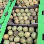 AF1QipNvqpj9lneg06qow9zXOUH4sQ6v3VsMFiR5xck1w408 h725 k no