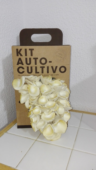 AF1QipO1LgQUKUhtYHjE1fYSRqjCfeulRKYLVPdvol29w408 h726 k no