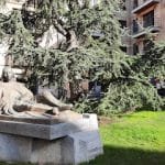 AF1QipOzcsNFDzwhMTSZQpDqalFX UmFjFXkWdaY5o2Kw426 h240 k no